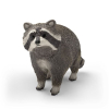 14937 Waschbär