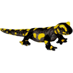 Nature Zoom Feuersalamander