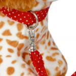 Welpe Frieda mit Leine