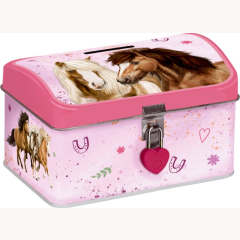 Spardose-Pferdefreunde