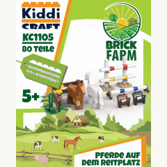 KC1105 Pferde auf dem Reitplatz