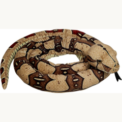 Boa Constrictor