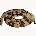 Boa Constrictor