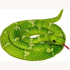 Nature Zoom Baumpython