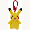 Pokemon Clip n Go sortiert