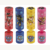 PawPatrol Wasserspritze 15x4