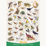 Puzzle Vögel 1000T