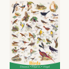 Puzzle Vögel 1000T