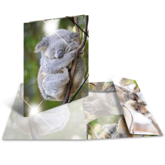 Sammel-/Gummizugmapp A4 Glossy Koala