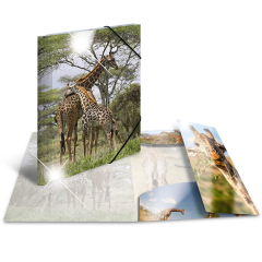 Sammel-/Gummizugmappe A4 Glossy Giraffe