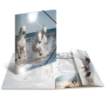 Sammel-/Gummizugmappe A4 Glossy Pferde