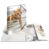 Sammel-/Gummizugmappe A4 Glossy Katzen