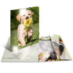 Sammel-/Gummizugmappe A4 Glossy Hunde
