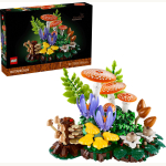 11505 Botanicals Waldpilze