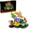 11505 Botanicals Waldpilze