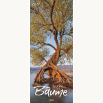 Bäume