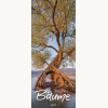 Bäume