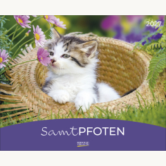 Samtpfoten