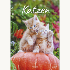 Gr. farbiger Katzenkalender