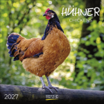 Hühner