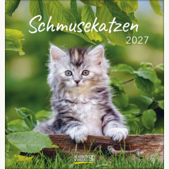 Schmusekatzen