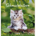 Schmusekatzen