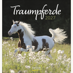 Traumpferde