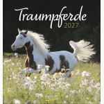 Traumpferde